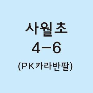 PK반팔카라티 사월초 4-6 결제창